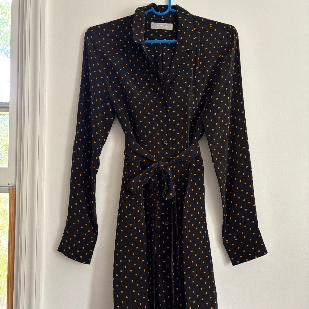 Everlane Polka Dot Shirt Dress